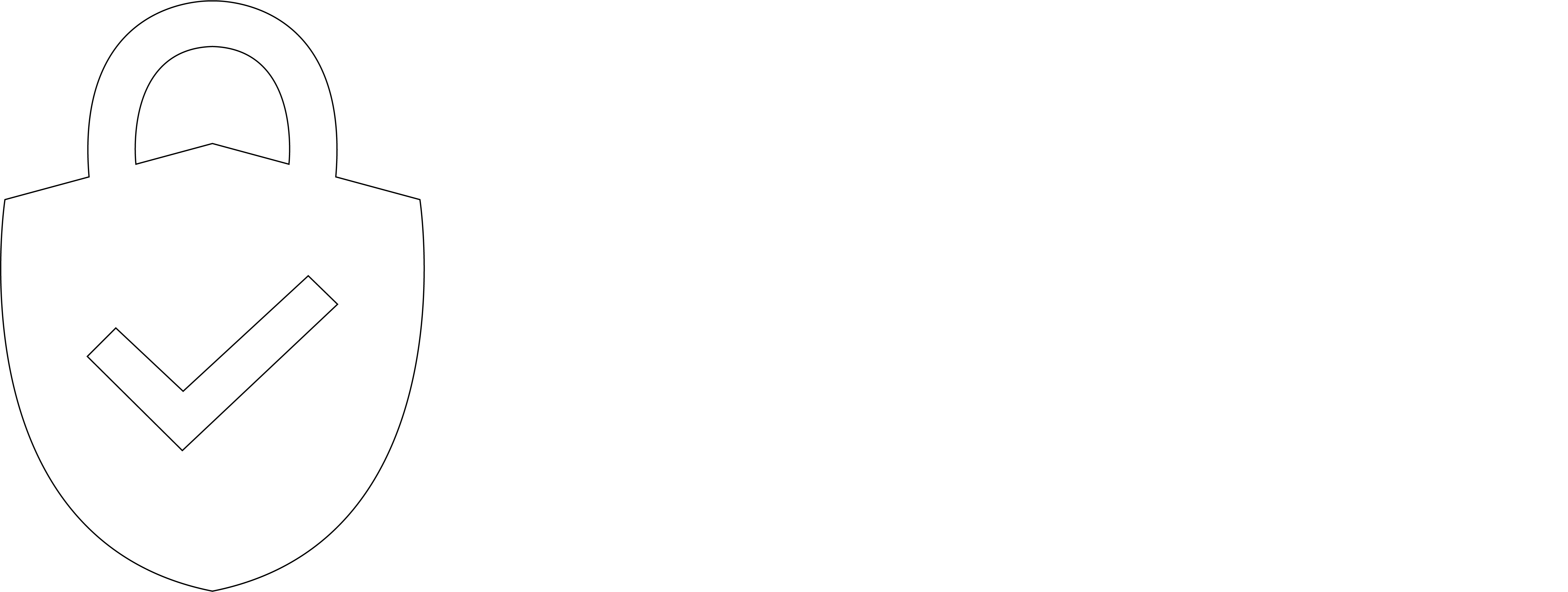 Luthier Seguros